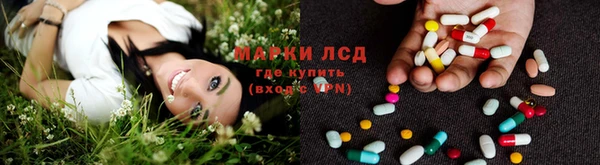 PSILOCYBIN Алексин