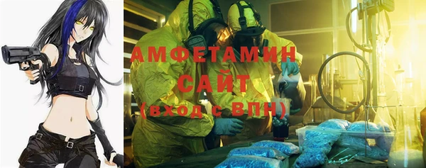 индика Ростов